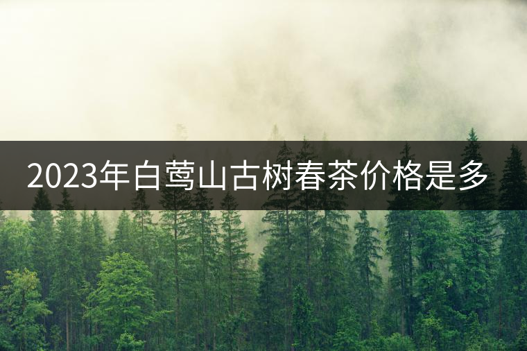 2023年白鶯山古樹春茶價(jià)格是多少？