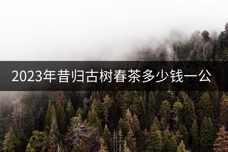 2023年昔歸古樹春茶多少錢一公斤？