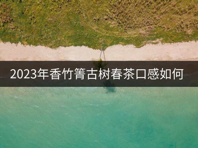 2023年香竹箐古樹(shù)春茶口感如何？