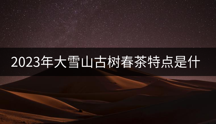 2023年大雪山古樹春茶特點是什么？