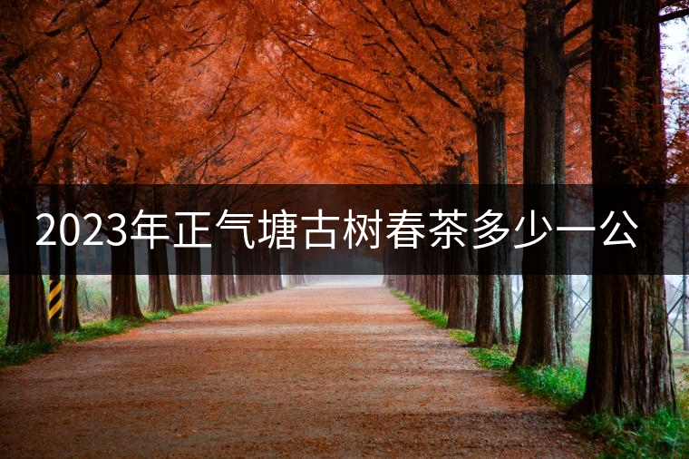 2023年正氣塘古樹春茶多少一公斤？
