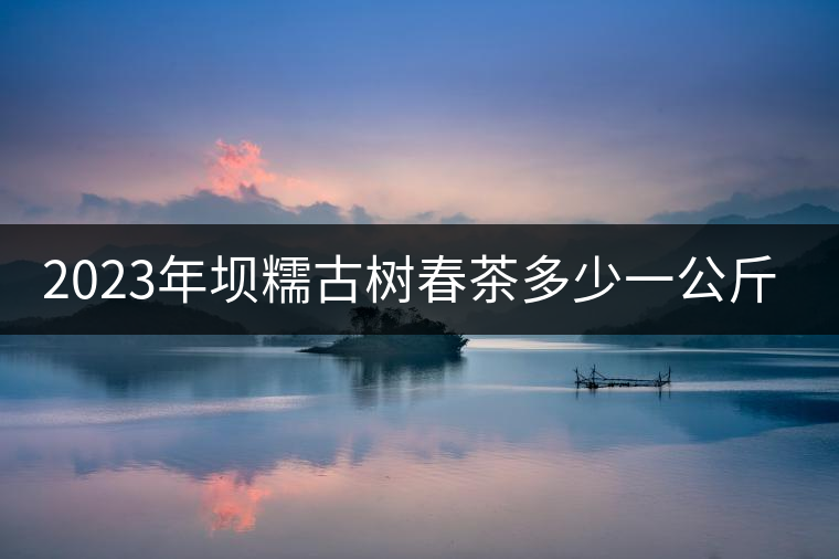 2023年壩糯古樹春茶多少一公斤？