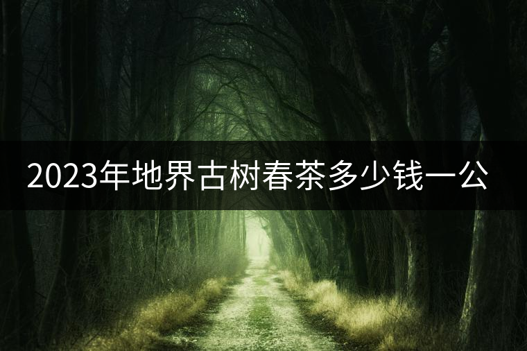 2023年地界古樹春茶多少錢一公斤？