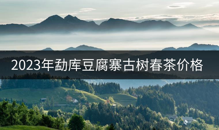 2023年勐庫(kù)豆腐寨古樹(shù)春茶價(jià)格是多少？
