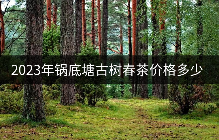 2023年鍋底塘古樹春茶價(jià)格多少？