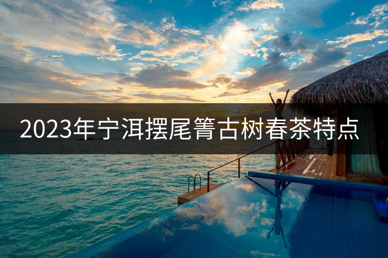2023年寧洱擺尾箐古樹春茶特點是什么？
