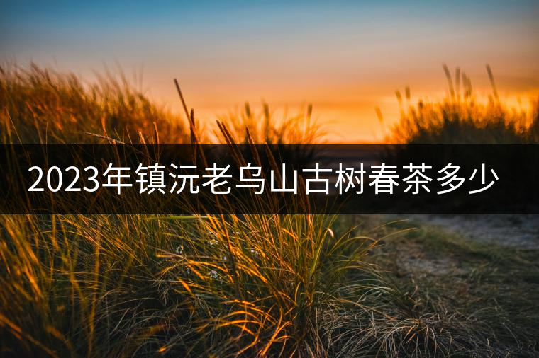 2023年鎮(zhèn)沅老烏山古樹春茶多少一公斤？