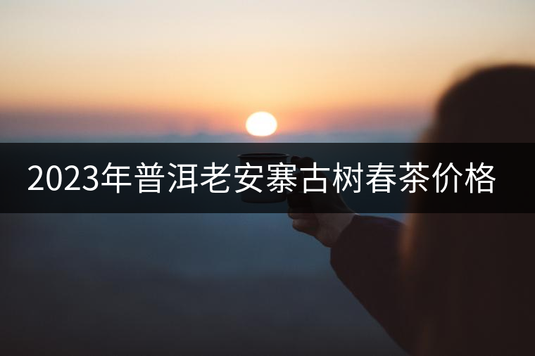 2023年普洱老安寨古樹(shù)春茶價(jià)格是多少？