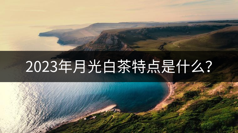 2023年月光白茶特點是什么？