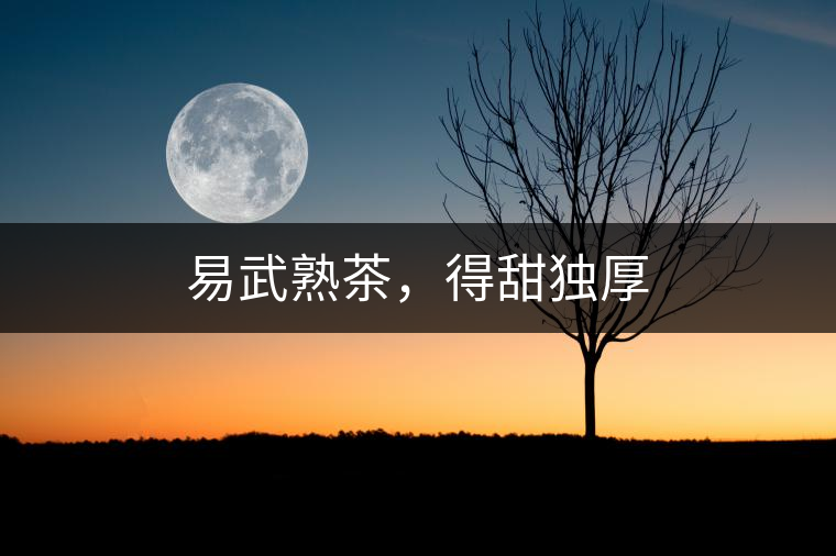 易武熟茶，得甜獨(dú)厚