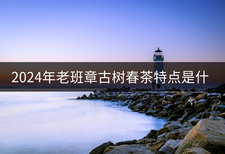2024年老班章古樹春茶特點是什么？
