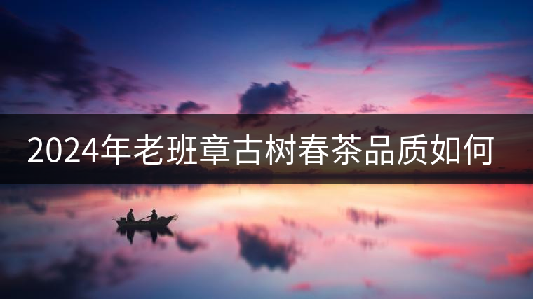2024年老班章古樹(shù)春茶品質(zhì)如何？