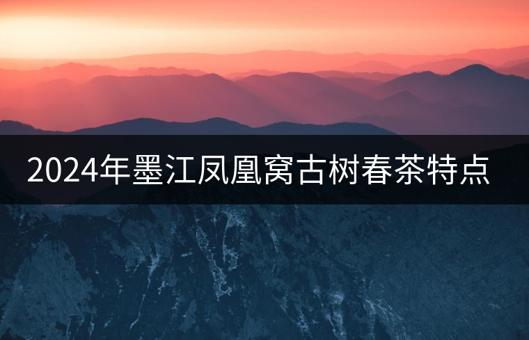 2024年墨江鳳凰窩古樹(shù)春茶特點(diǎn)是什么？