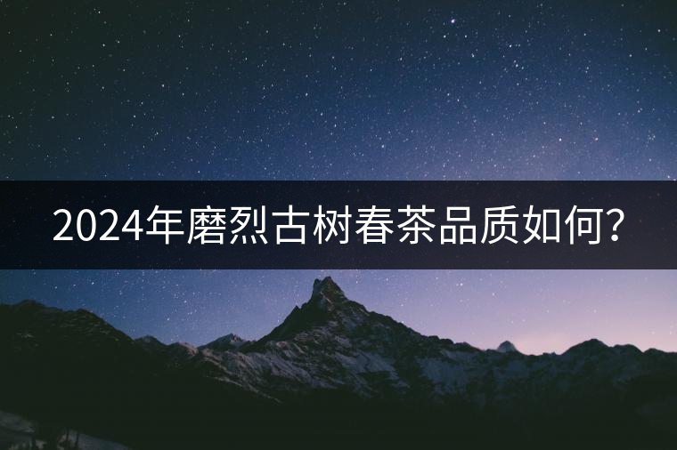 2024年磨烈古樹春茶品質(zhì)如何？