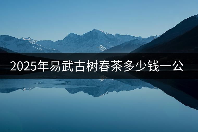 2025年易武古樹春茶多少錢一公斤？