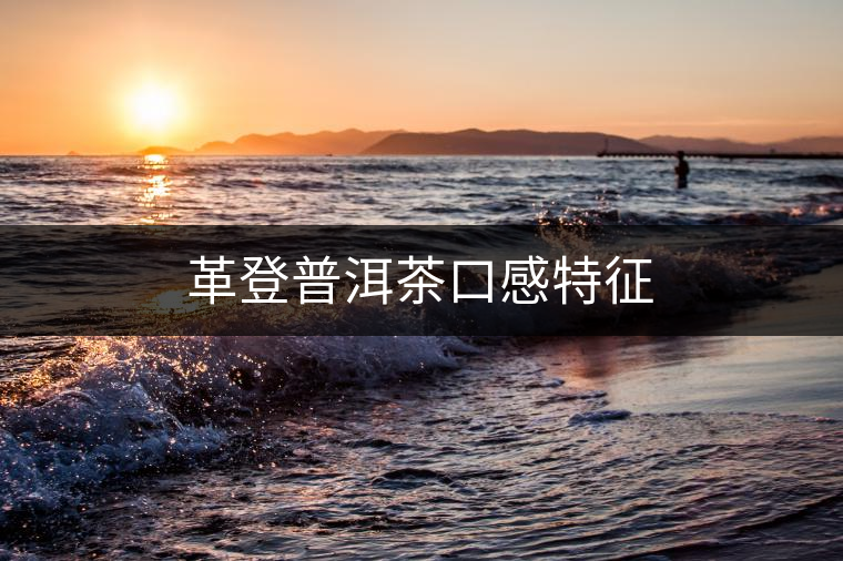 革登普洱茶口感特征
