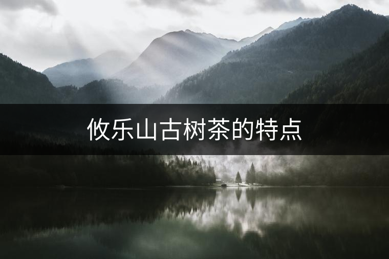 攸樂(lè)山古樹(shù)茶的特點(diǎn)