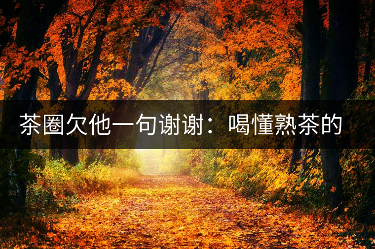 茶圈欠他一句謝謝：喝懂熟茶的人，都該記住陳佩仁這個名字