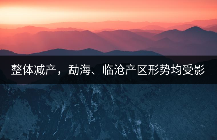 整體減產(chǎn)，勐海、臨滄產(chǎn)區(qū)形勢均受影響