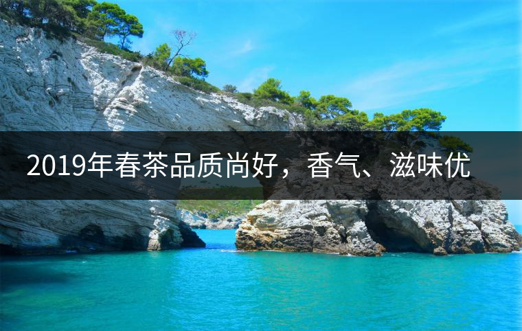 2019年春茶品質(zhì)尚好，香氣、滋味優(yōu)于去年