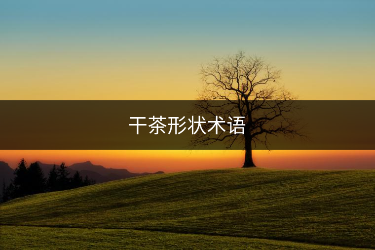 干茶形狀術(shù)語(yǔ)