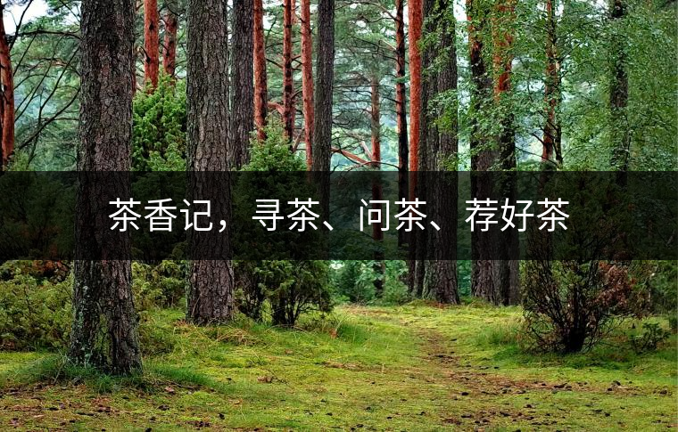 茶香記，尋茶、問茶、薦好茶