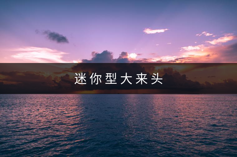 迷 你 型 大 來(lái) 頭
