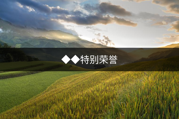 ◆◆特別榮譽