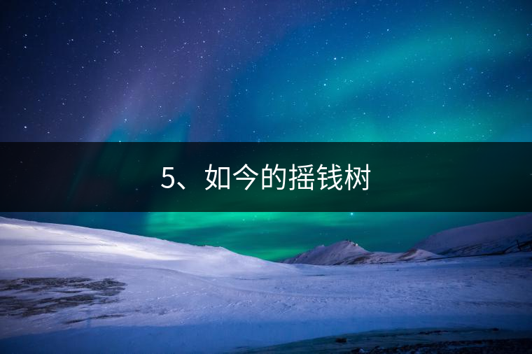 5、如今的搖錢(qián)樹(shù)