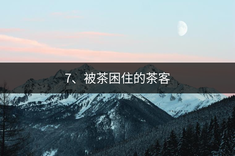7、被茶困住的茶客