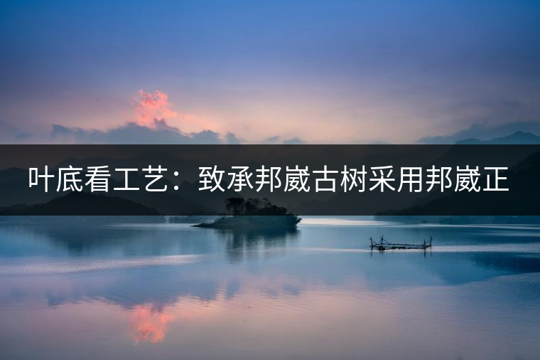 葉底看工藝：致承邦崴古樹采用邦崴正山三百至五百年古茶樹頭春鮮葉。經(jīng)手工殺青，石墨壓制，餅型周正，嚴守傳統(tǒng)工藝；葉底鮮活，幾乎無糊點，前期殺青較輕，這樣更利于后期轉(zhuǎn)化。