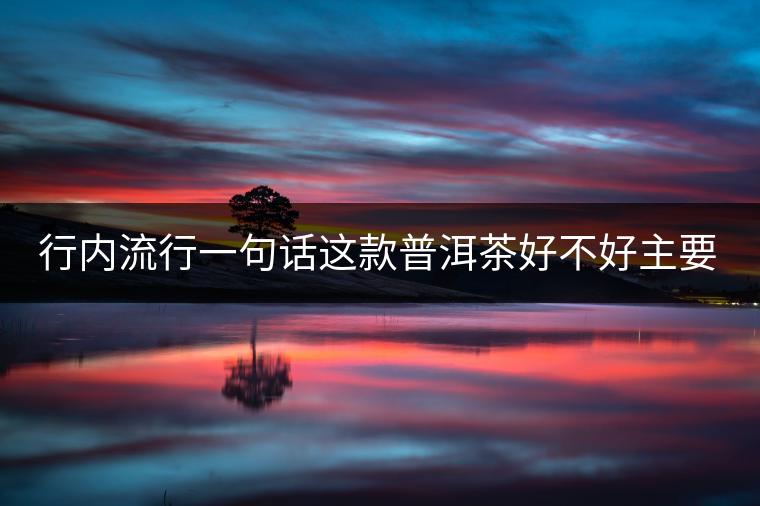 行內(nèi)流行一句話這款普洱茶好不好主要還看尾水，雖然比較片面但是也有一定道理。