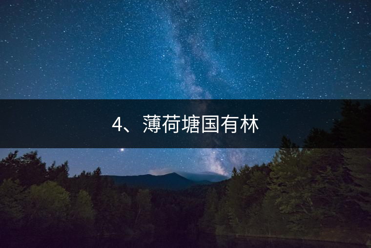 4、薄荷塘國有林
