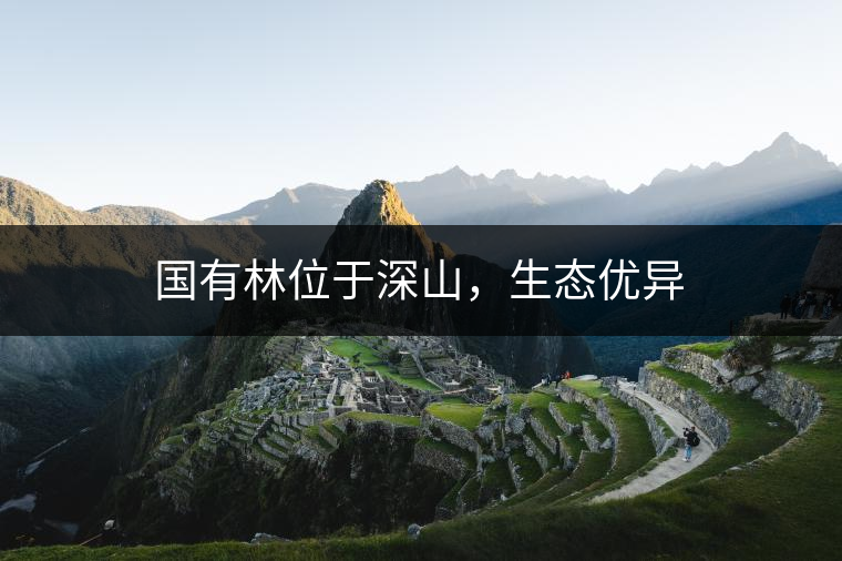 國(guó)有林位于深山，生態(tài)優(yōu)異