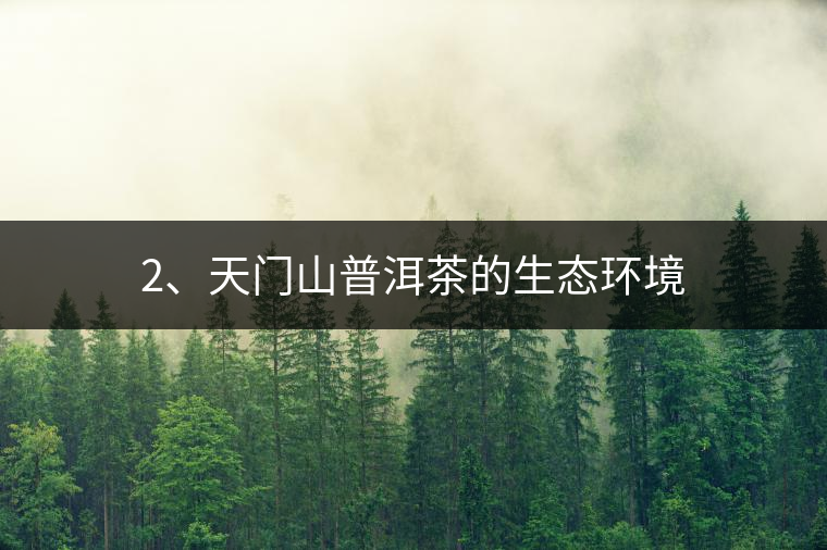 2、天門山普洱茶的生態(tài)環(huán)境