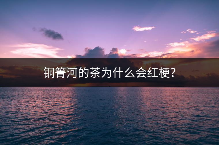 銅箐河的茶為什么會紅梗？
