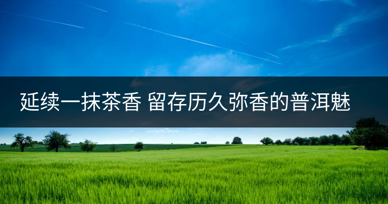 延續(xù)一抹茶香 留存歷久彌香的普洱魅力