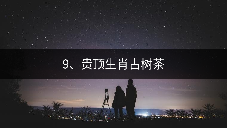 9、貴頂生肖古樹茶