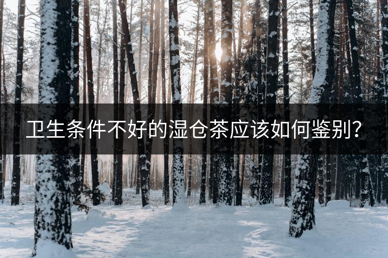 衛(wèi)生條件不好的濕倉(cāng)茶應(yīng)該如何鑒別？