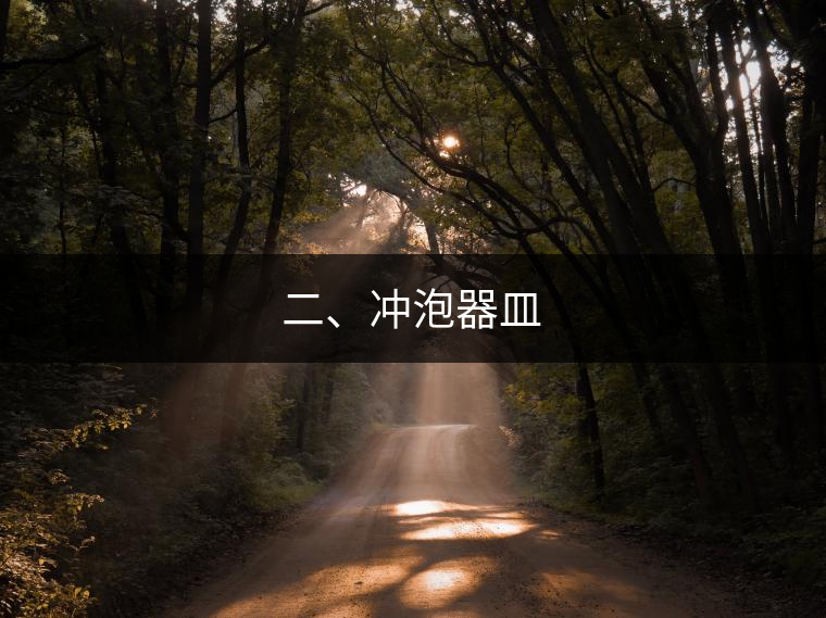 二、沖泡器皿