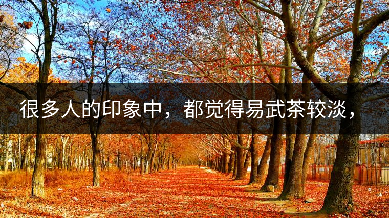 很多人的印象中，都覺得易武茶較淡，但存放幾年后，再喝又覺得茶味茶氣變濃了。我們就這個問題，考察了易武古茶山，和走訪了當?shù)夭柁r(nóng)。我們發(fā)現(xiàn)這跟易武古樹茶的茶質(zhì)和茶農(nóng)制茶的傳統(tǒng)工藝有關。