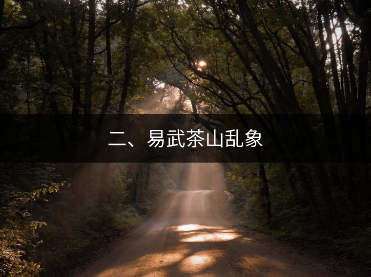二、易武茶山亂象