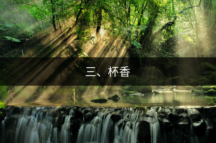 三、杯香