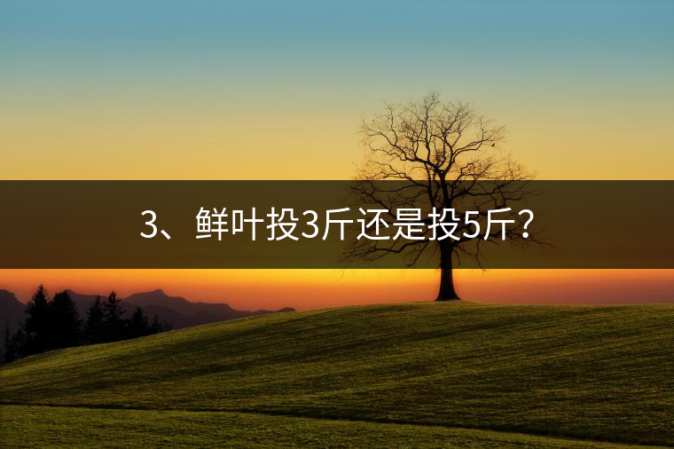3、鮮葉投3斤還是投5斤？