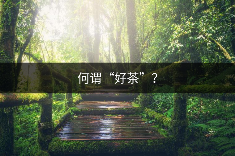 何謂“好茶”？