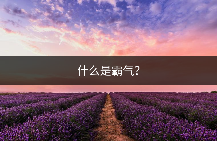 什么是霸氣？