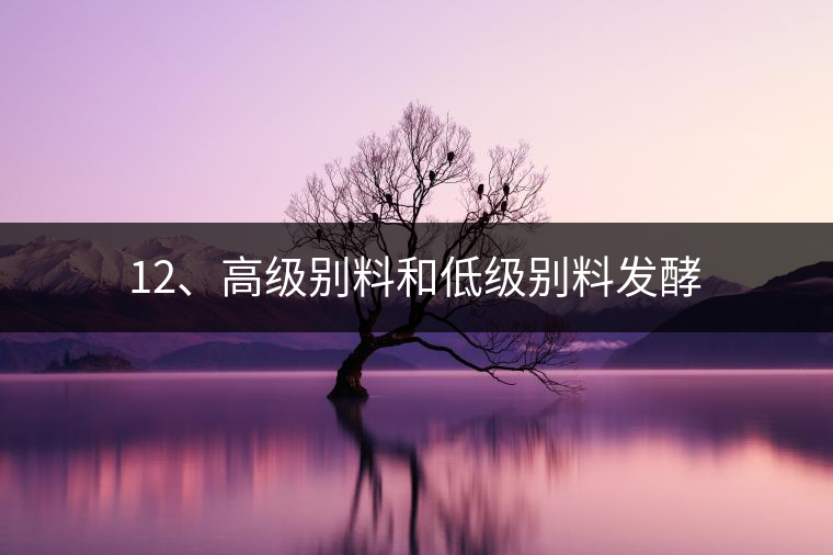 12、高級(jí)別料和低級(jí)別料發(fā)酵