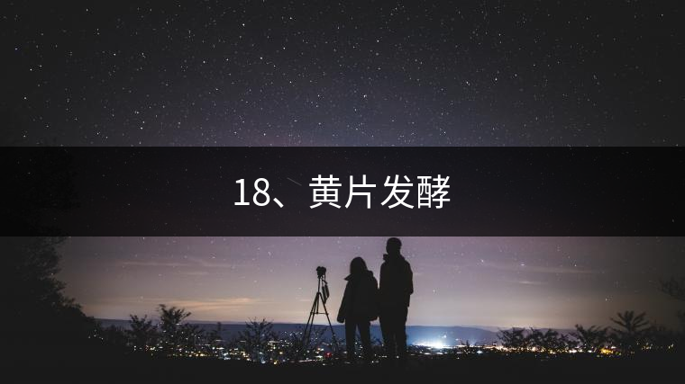 18、黃片發(fā)酵