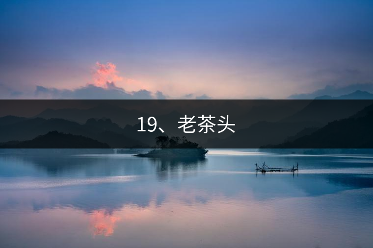 19、老茶頭