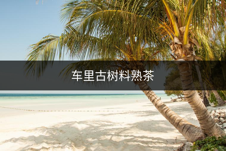 車?yán)锕艠?shù)料熟茶